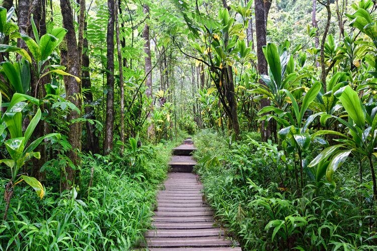 Things to do in Hawaii, Pipiwai trail in Kipahulu, Top Villas