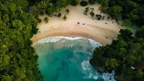 Aerial view of white sand beach backed by forest in Jamaica