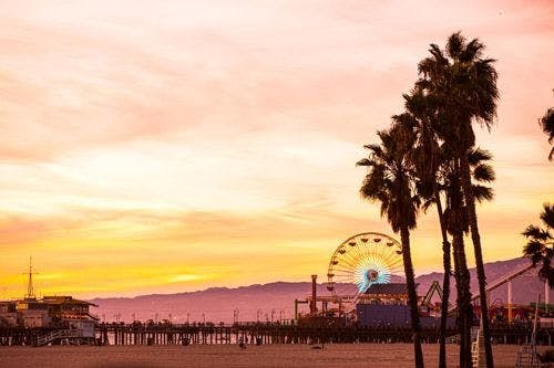 Venice Beach in Los Angeles with palm trees and a pier with a big wheel