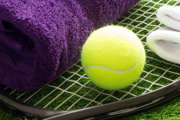 Things to do in London, Wimbledon heritage