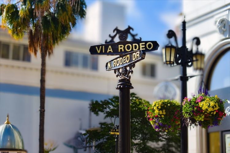 Things to do in Los Angeles, Rodeo Drive, Top Villas