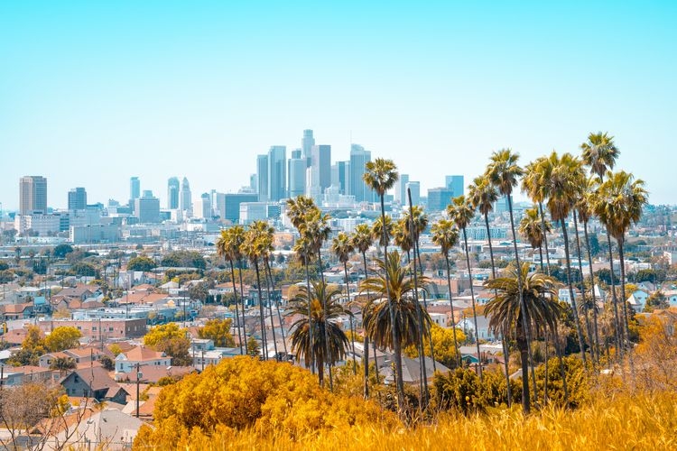 Things to do in Los Angeles, skyline, FAQs, Top Villas