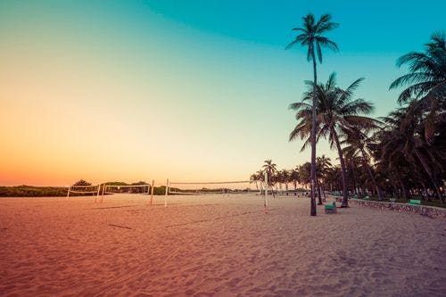 Miami Beach at sunrise with palm trees and volleyball nets