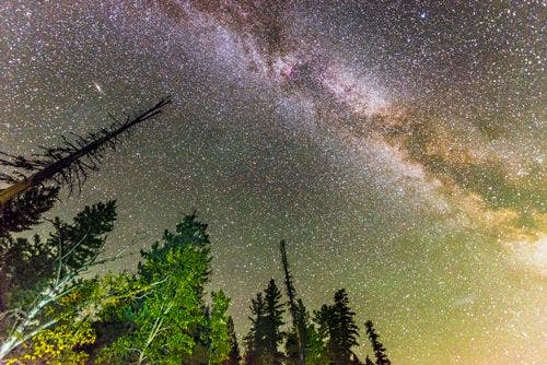 Milky Way over a Montana forest
