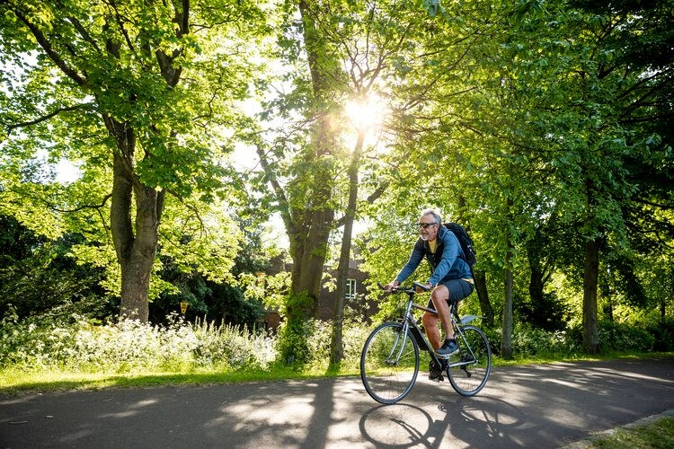 Things to do in Nashville, bike ride
