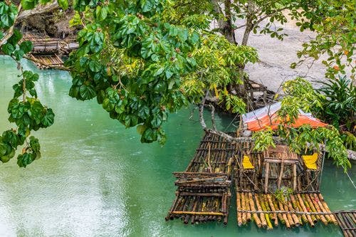 Wooden rafts under mangrove trees on the White River