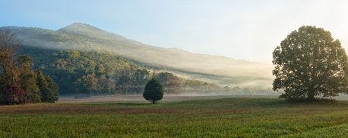 Cades Cove in the Great Smoky Mountains - a mountainous landscape with fields and trees