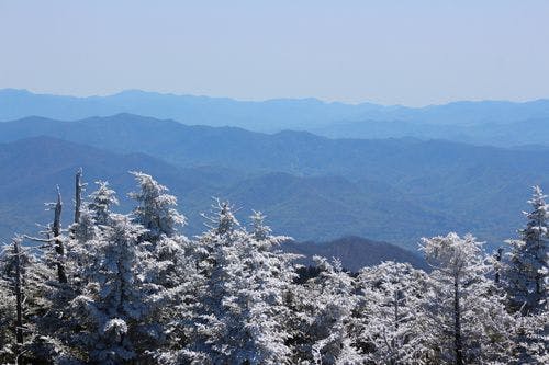The Great Smoky Mountains in the winter with snow covered trees