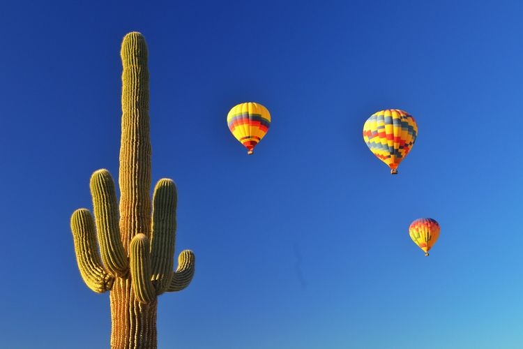 Things to do in Scottsdale, balloon ride in Sonoran Desert