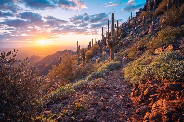 Things to do in Scottsdale, Mc Dowell Sonoran Preserve