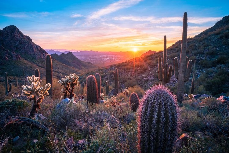 Things to do in Scottsdale, romantic tour, desert, Top Villas