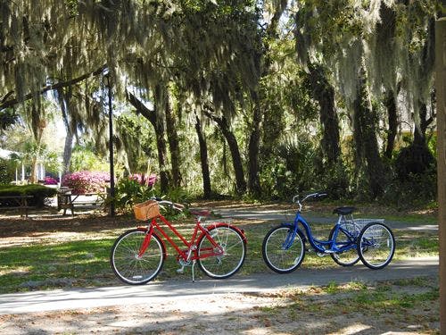 A red bicycle and a blue bicycle on a path amongst trees in South Carolina