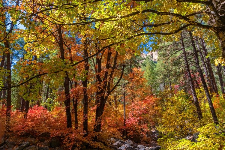 Things to do in Sedona, Oak Creek, Top Villas