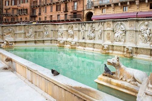Fonte Gaia decorative fountain in Siena