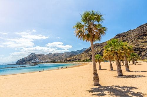 White sand beach with palm trees in Tenerife
