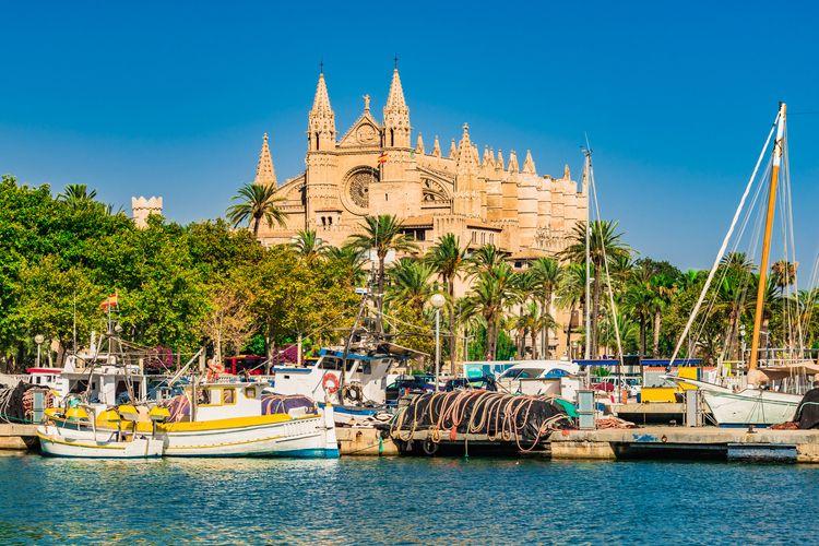 things-to-do-in-spain-palma-cathedral.jpg