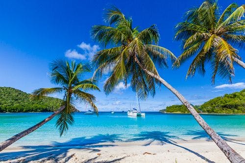 White sandy beach with palm trees and a catamaran on the water in St Vincent and the Grenadines