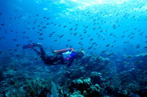 A person scuba diving a reef in St Vincent and the Grenadines