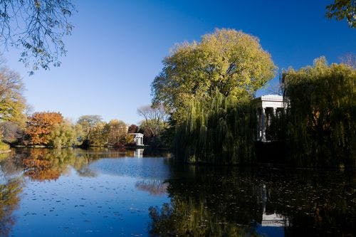 Graceland cemetery with large large a willow trees