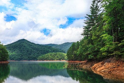 Fontana Lake in the Great Smoky Mountains, with thick forest along the shores and mountains in the background 