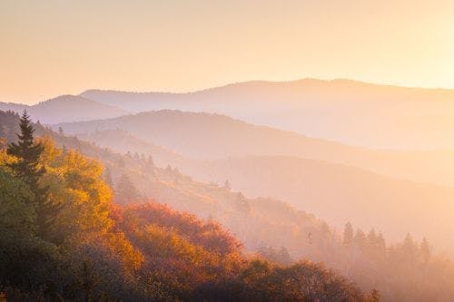 Soft golden light over a scenic viewpoint of mountains