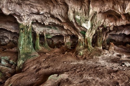 Conch Bar Caves interior