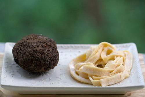 A truffle on a plate next to a small pile of pasta