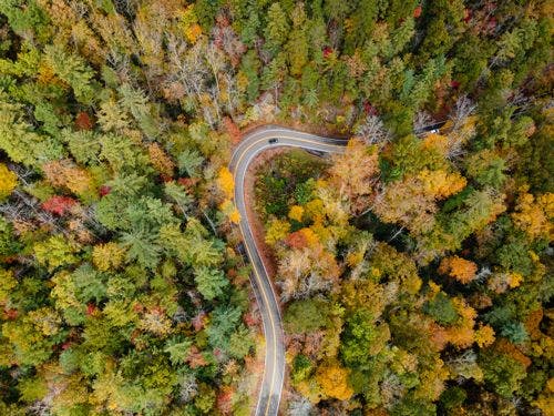Aerial view of snaking road through trees on the Blue Ridge Parkway