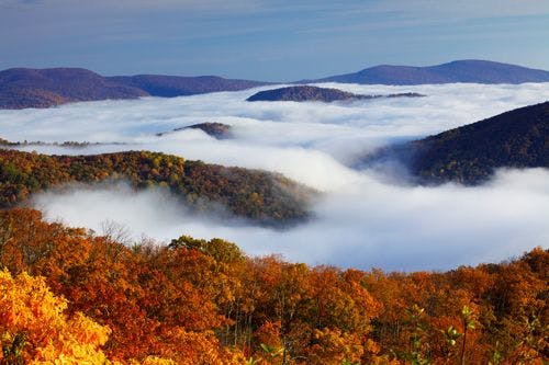 Low clouds settled over fall trees in Shenandoah National Park