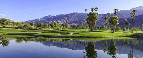 A golf course in Palm Springs