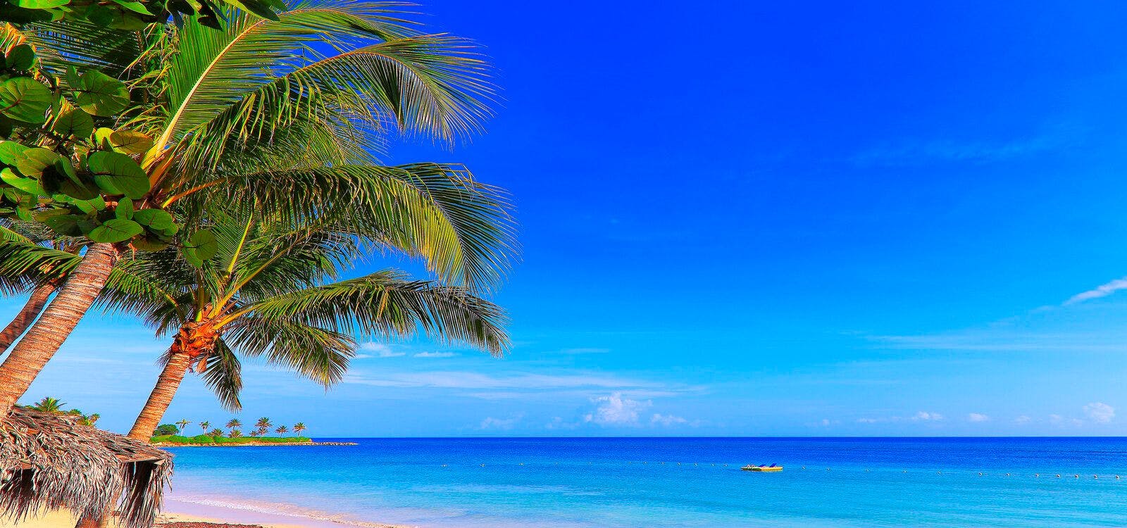 Montego Bay in Jamaica with palm trees and Caribbean Sea