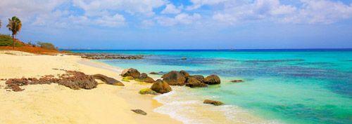 Golden sand beach with rocks on the sand