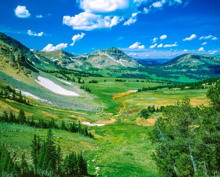Rolling green fields in a Rocky Mountain valley