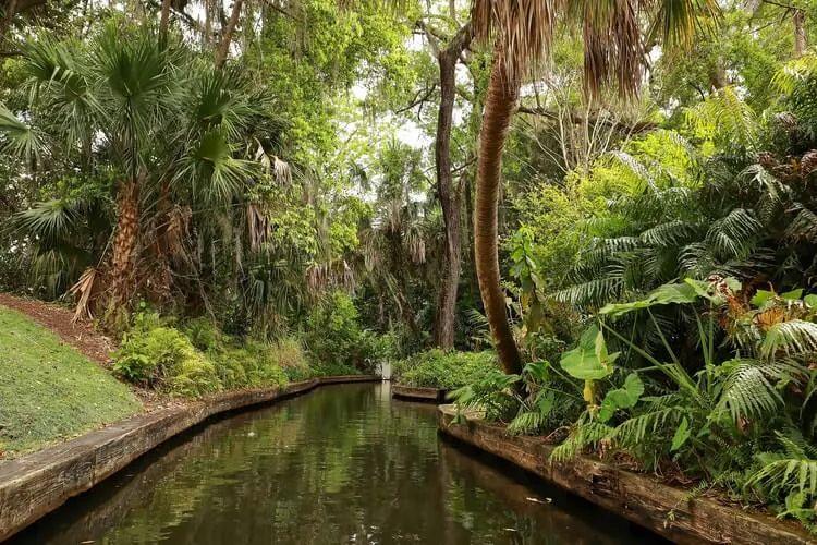 A Florida canal with plants and trees on either side