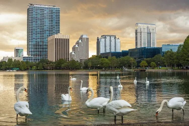 Downtown Orlando skyscrapers by a lake with swans