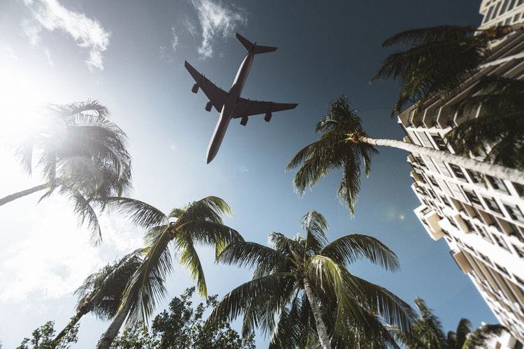 A passenger plane flying low over palm trees and buildings in Miami