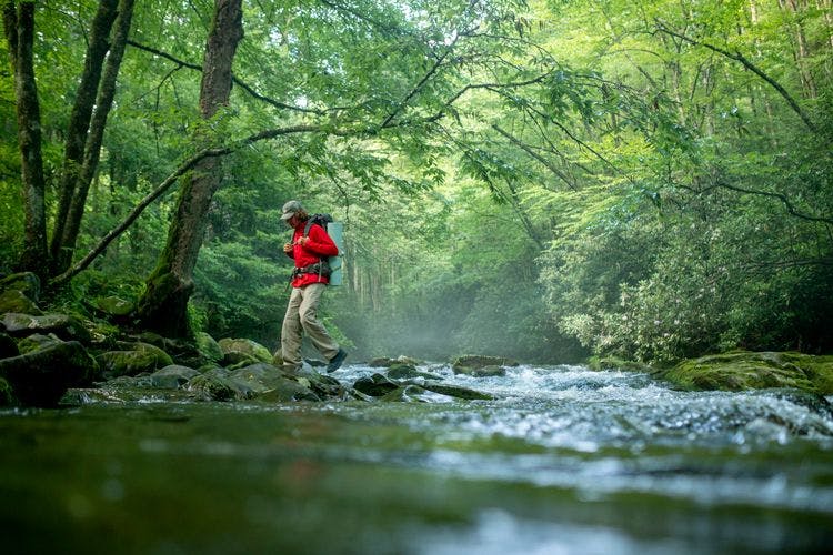 Man in a red shirt hiking through a forest and across a stream in the Great Smoky Mountains