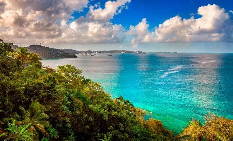 Grenada coastline with dense verdant forests by turquoise sea