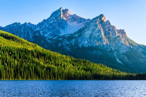 Sawtooth National Forest, a thick, dense area of green trees surrounded by mountains and lakes