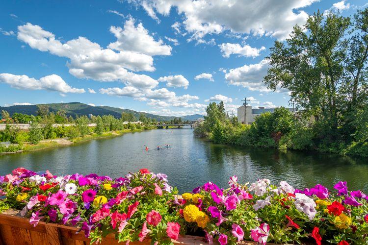 River in Idaho with spring flowers