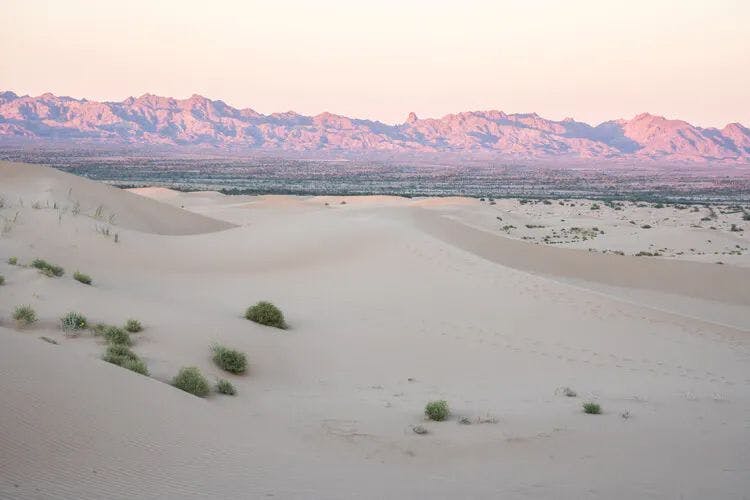 Desert landscape near La Quinta