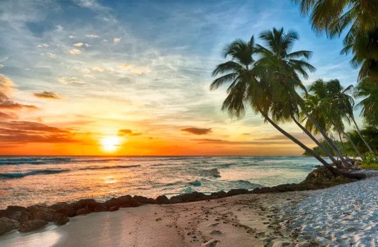 Sunset over a white sand beach with palm trees