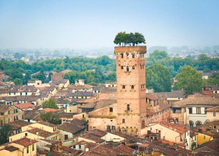 Tower in Lucca with trees on top