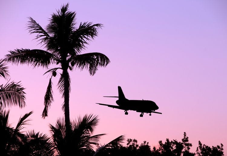 Silhouette of a plane landing against a pink sky