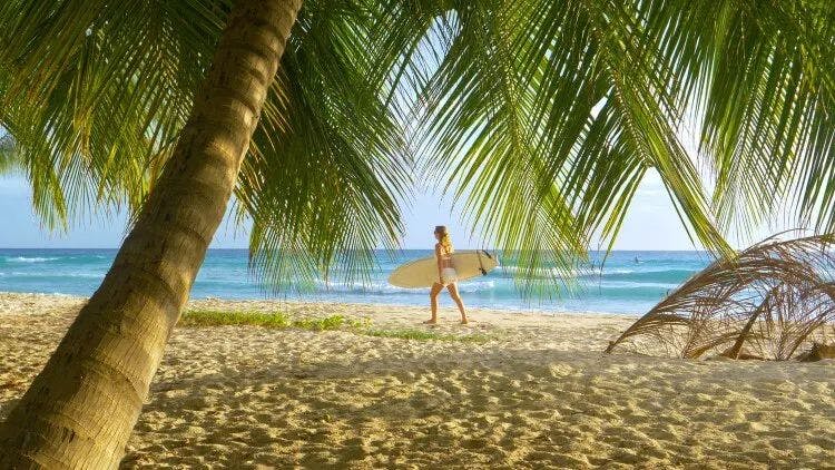 A woman carrying a surfboard under her arm walks along a golden sand beach framed by palm trees