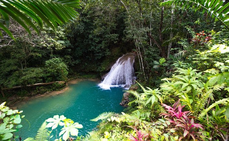 A beautiful small waterfall in a rainforest clearing