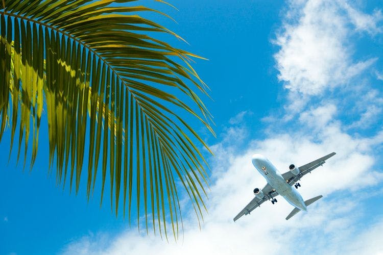 A passenger plane flying over a palm tree
