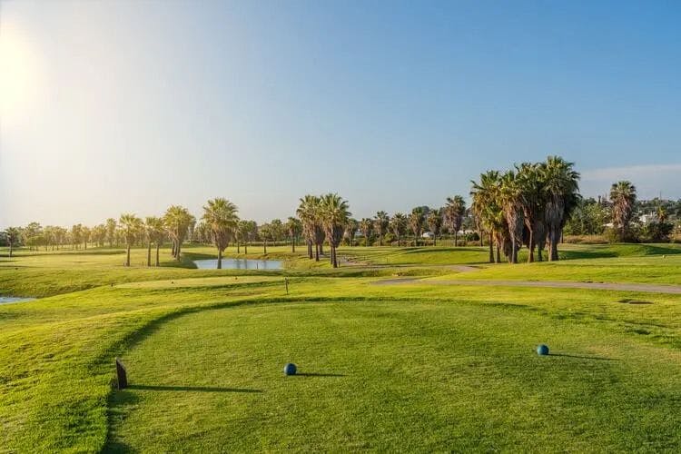 Paradise Palms golf course