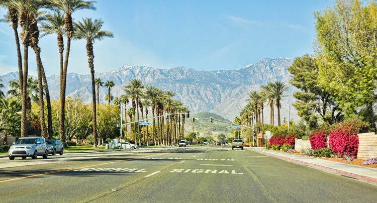 Main road through Rancho Mirage with palm trees lining the street and mountains in the distance