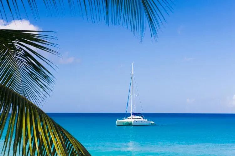 Sailboat resting in calm water with palm tree leaves in the foreground
